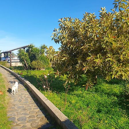 Villa Asinara Sassari Esterno foto