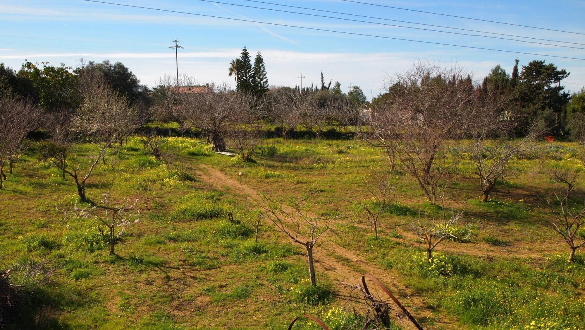 Villa Asinara Sassari Esterno foto